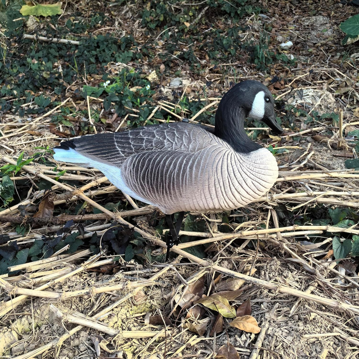Heerweiyi Goose Decoys Pack of 6, Popular New Material EVA Collapsible Plastic Goose Hunting Decoys, Goose Decoys, Easy to Carry and Use, Cost Effective