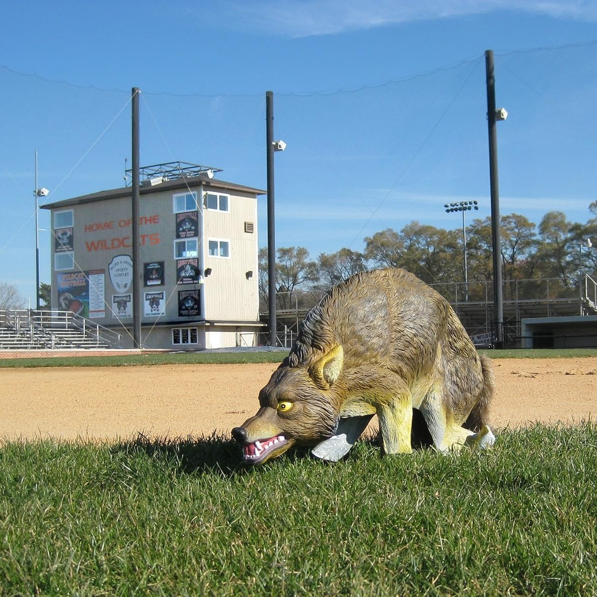 Bird-X 3D Coyote Decoy, Moving Tail, Scare Geese, 32 X 8 X 30 Inch