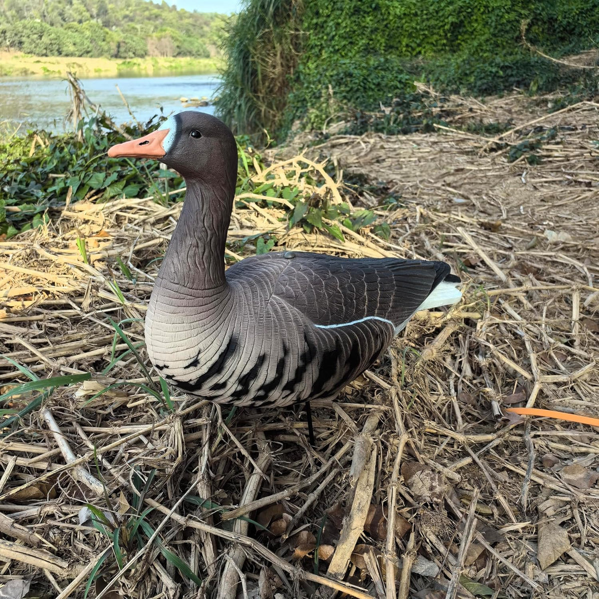 Heerweiyi Goose Decoys Pack of 6, Popular New Material EVA Collapsible Plastic Goose Hunting Decoys, Goose Decoys, Easy to Carry and Use, Cost Effective