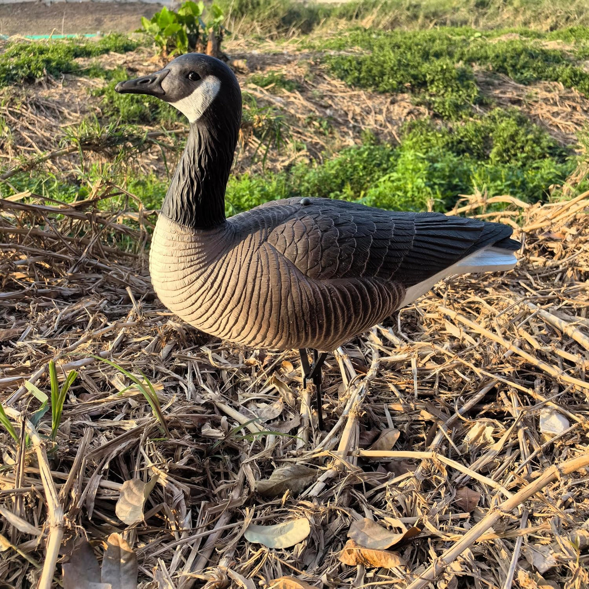 Heerweiyi Goose Decoys Pack of 6, Popular New Material EVA Collapsible Plastic Goose Hunting Decoys, Goose Decoys, Easy to Carry and Use, Cost Effective