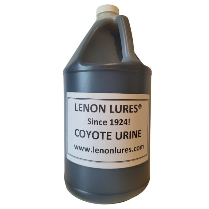 Lenon Lures Coyote Urine