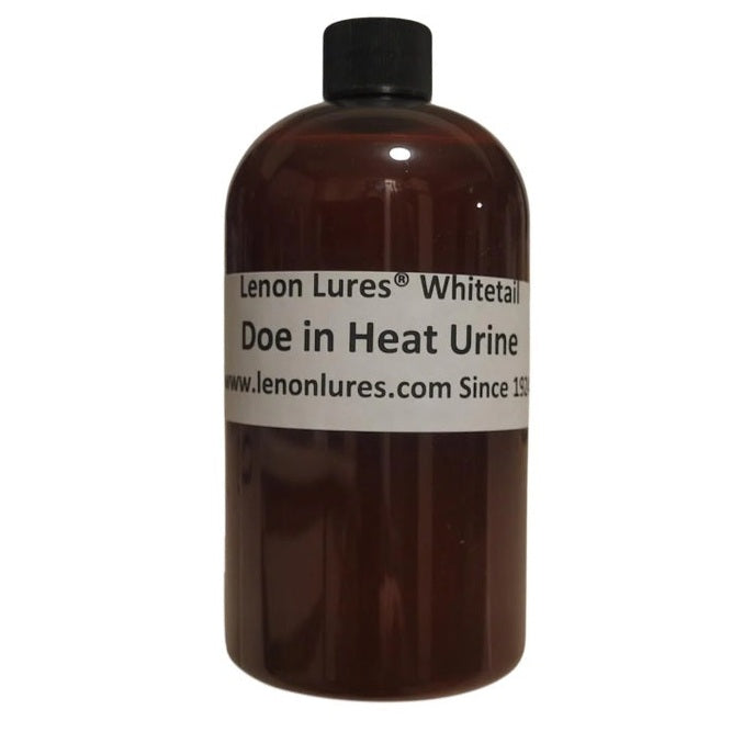 Lenon Lures Whitetail Doe in Heat Urine