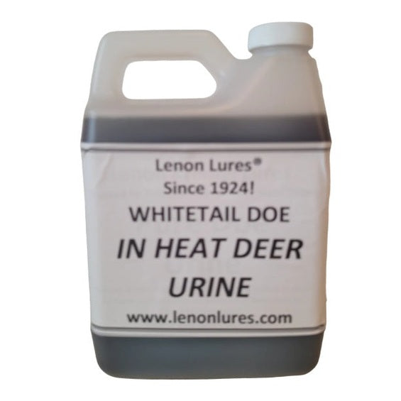 Lenon Lures Whitetail Doe in Heat Urine