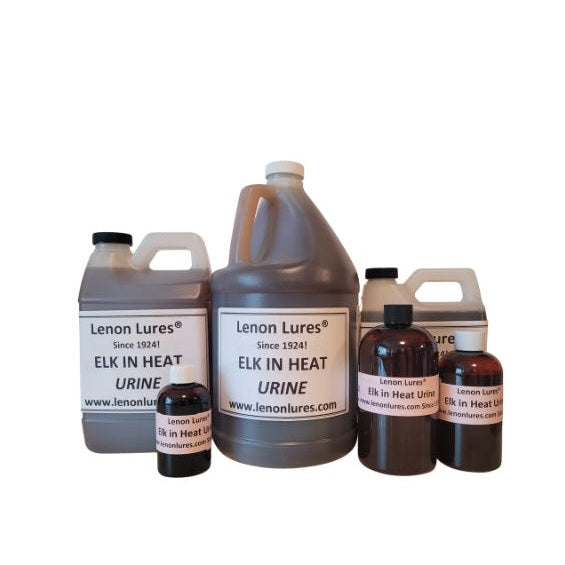 Lenon Lures Elk in Heat Urine