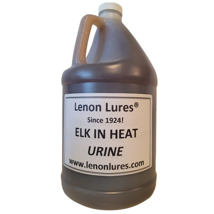 Lenon Lures Elk in Heat Urine