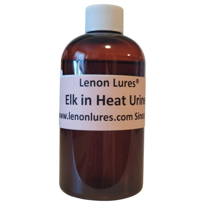 Lenon Lures Elk in Heat Urine