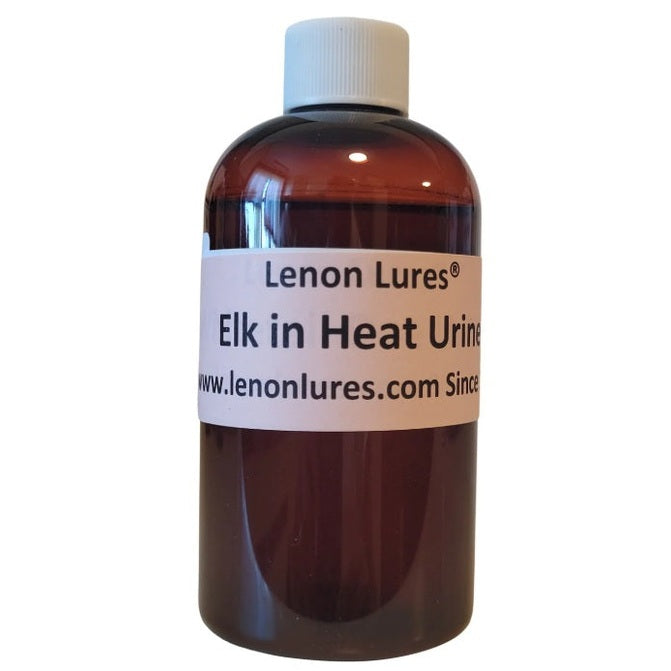 Lenon Lures Elk in Heat Urine