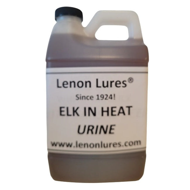Lenon Lures Elk in Heat Urine