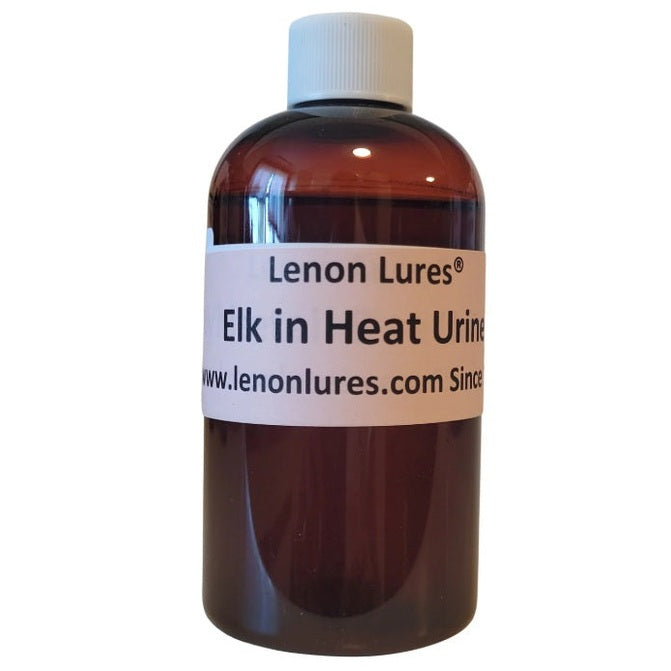 Lenon Lures Elk in Heat Urine